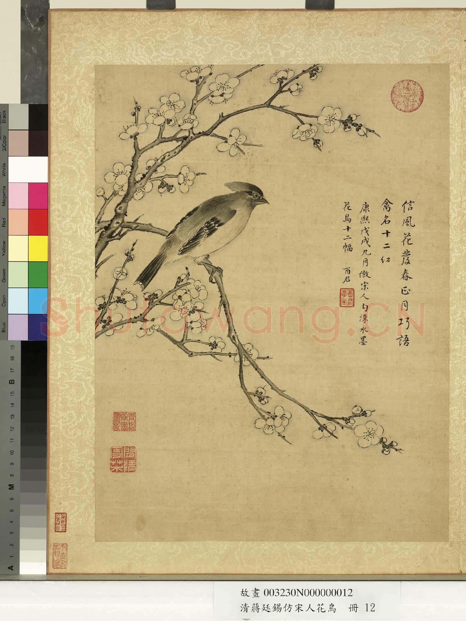 清蔣廷錫仿宋人花鳥 冊 黃連雀