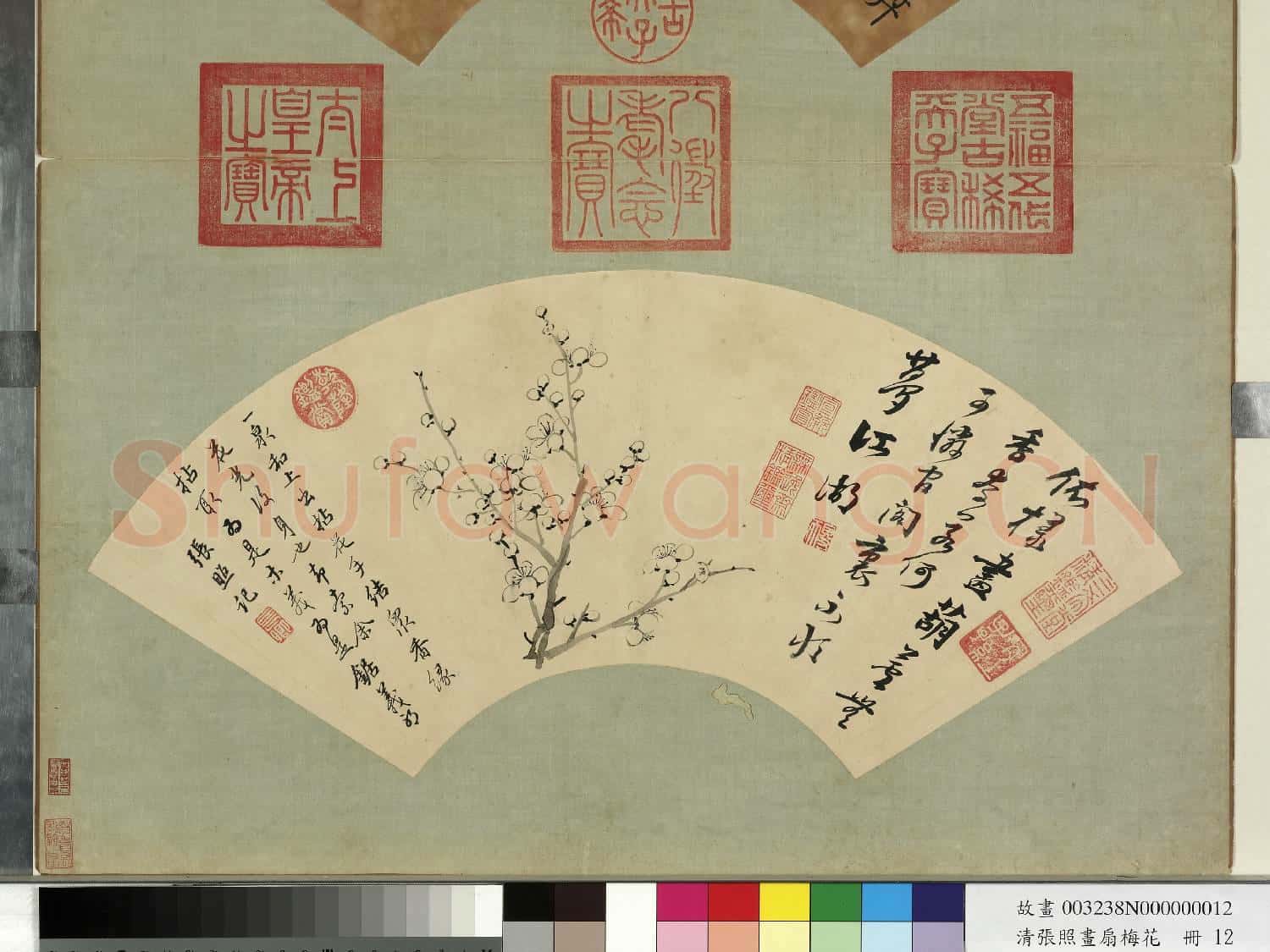 清張照畫扇梅花 冊 梅花(十二)