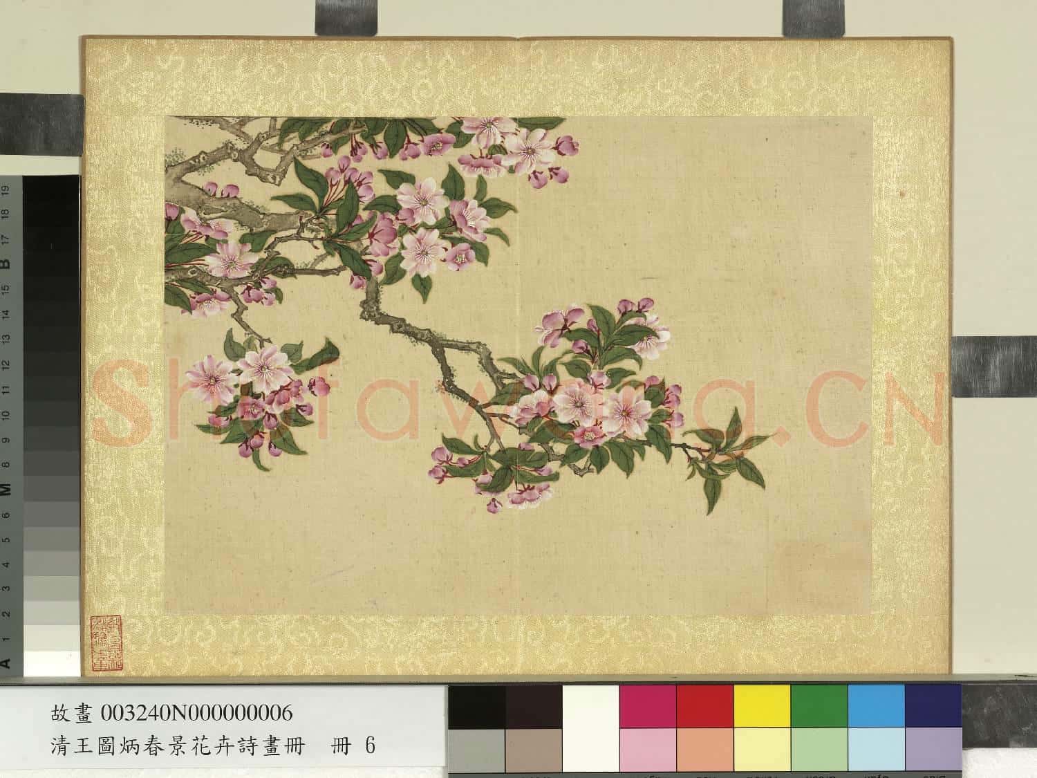 清王圖炳春景花卉詩畫冊 冊 紅梨花