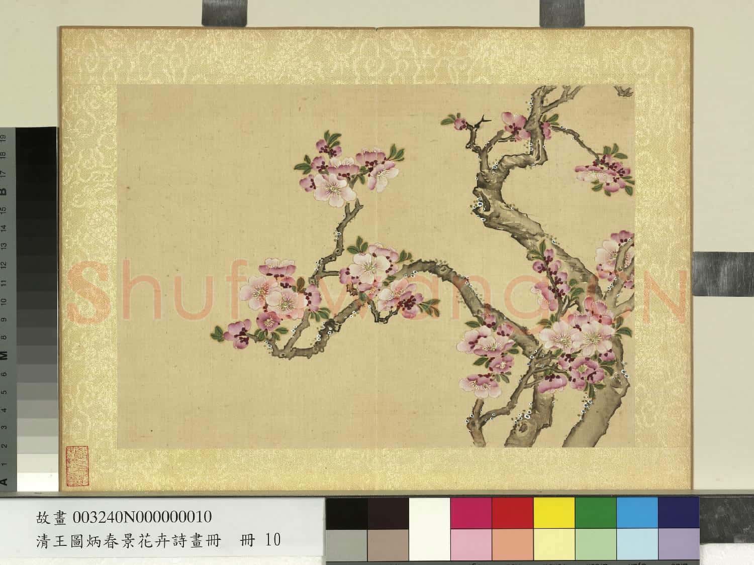 清王圖炳春景花卉詩畫冊 冊 杏花