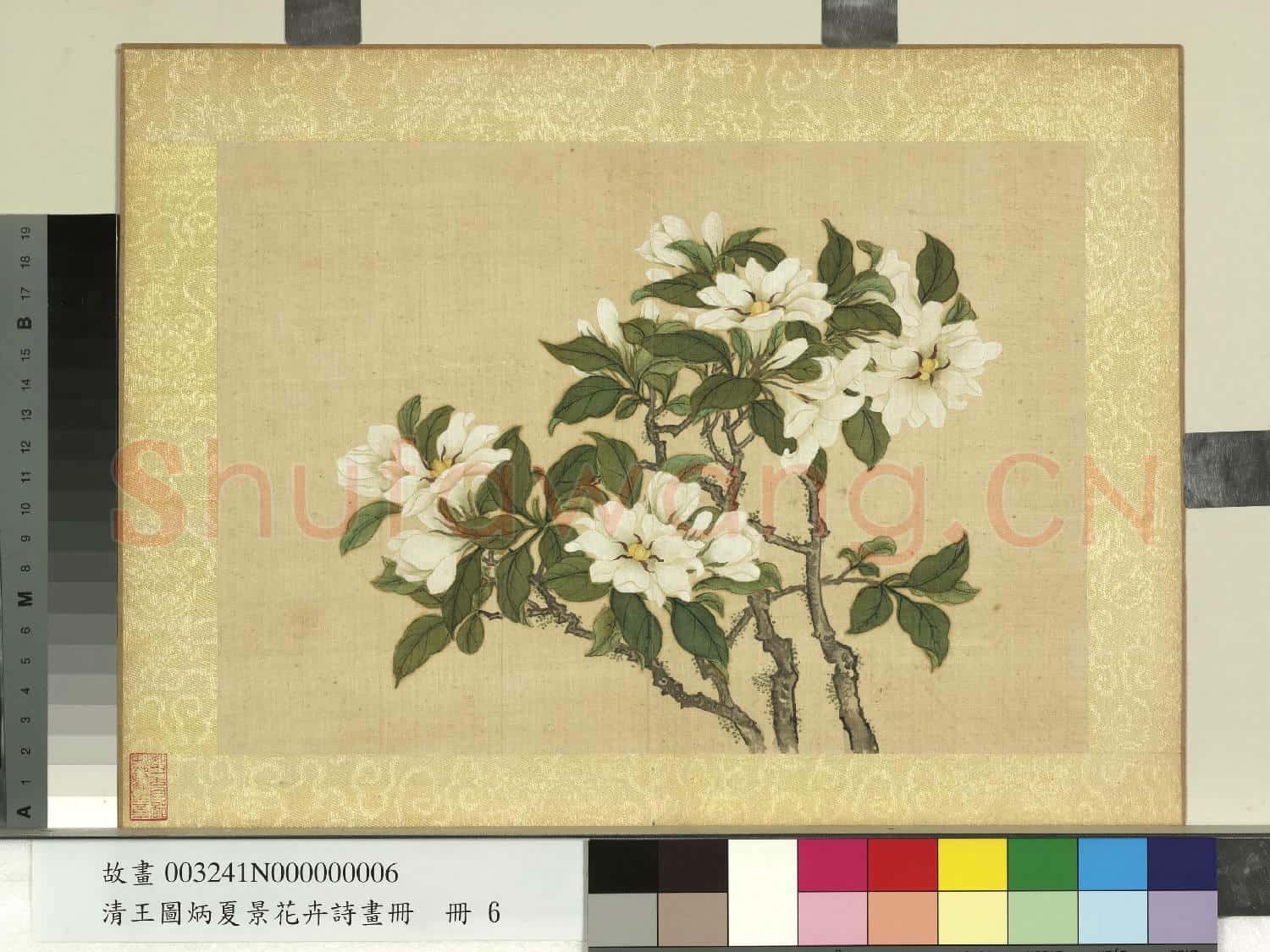 清王圖炳夏景花卉詩畫冊 冊 梔子花