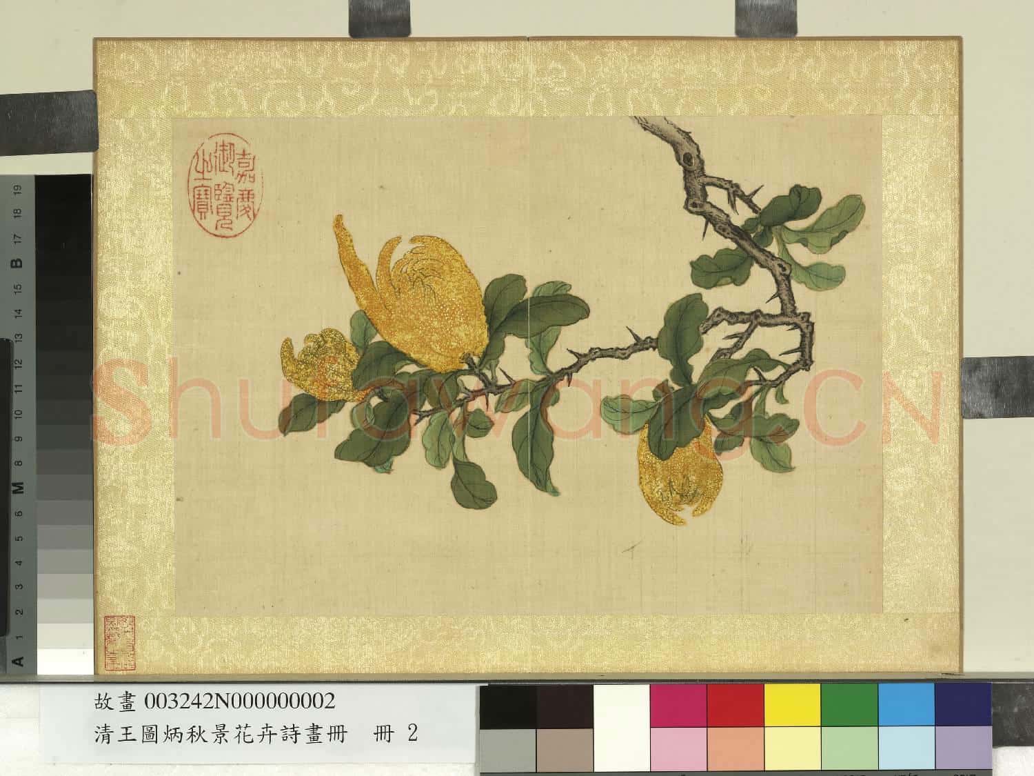 清王圖炳秋景花卉詩畫冊 冊 佛手