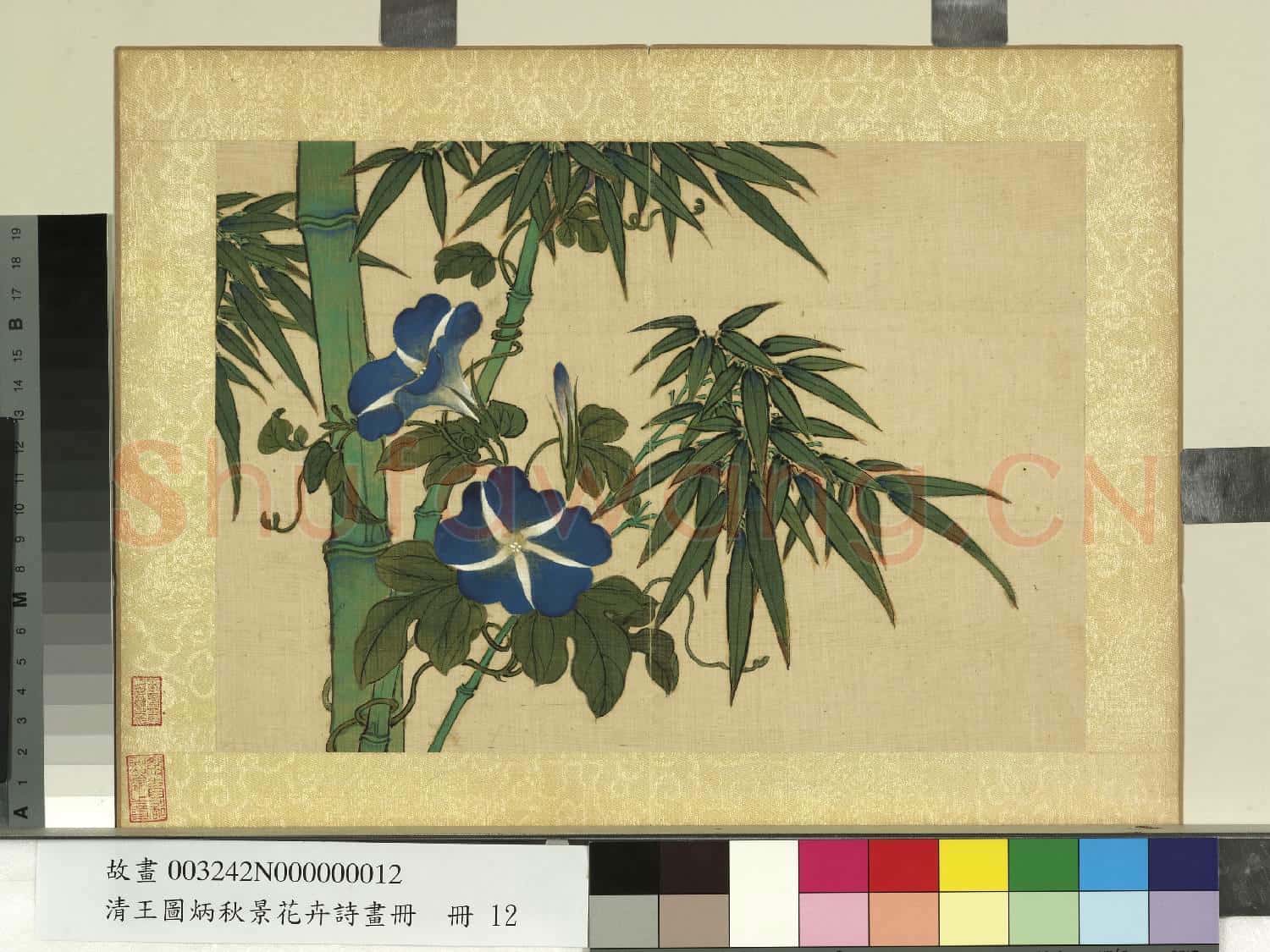 清王圖炳秋景花卉詩畫冊 冊 牽牛花
