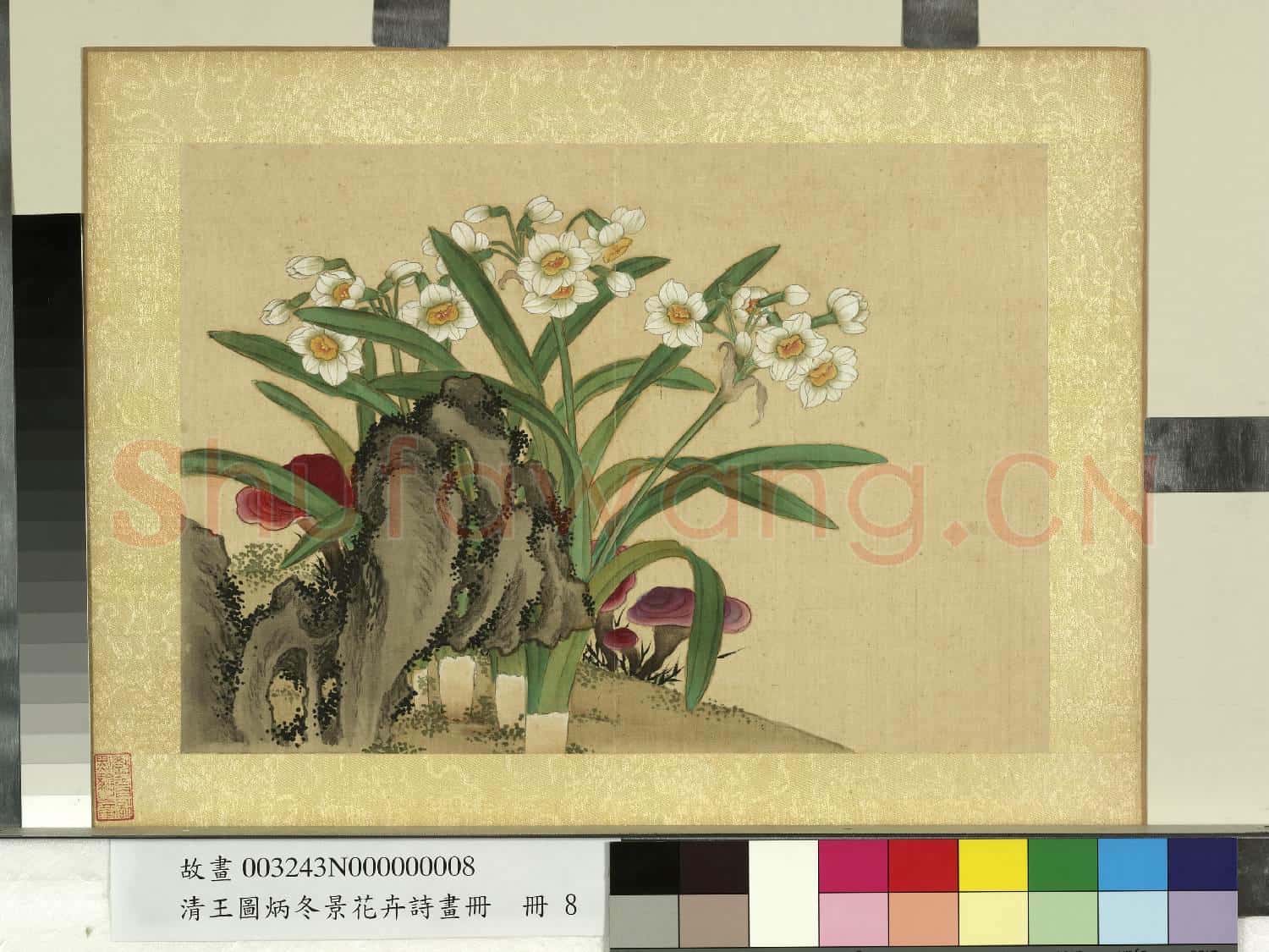 清王圖炳冬景花卉詩畫冊 冊 水仙