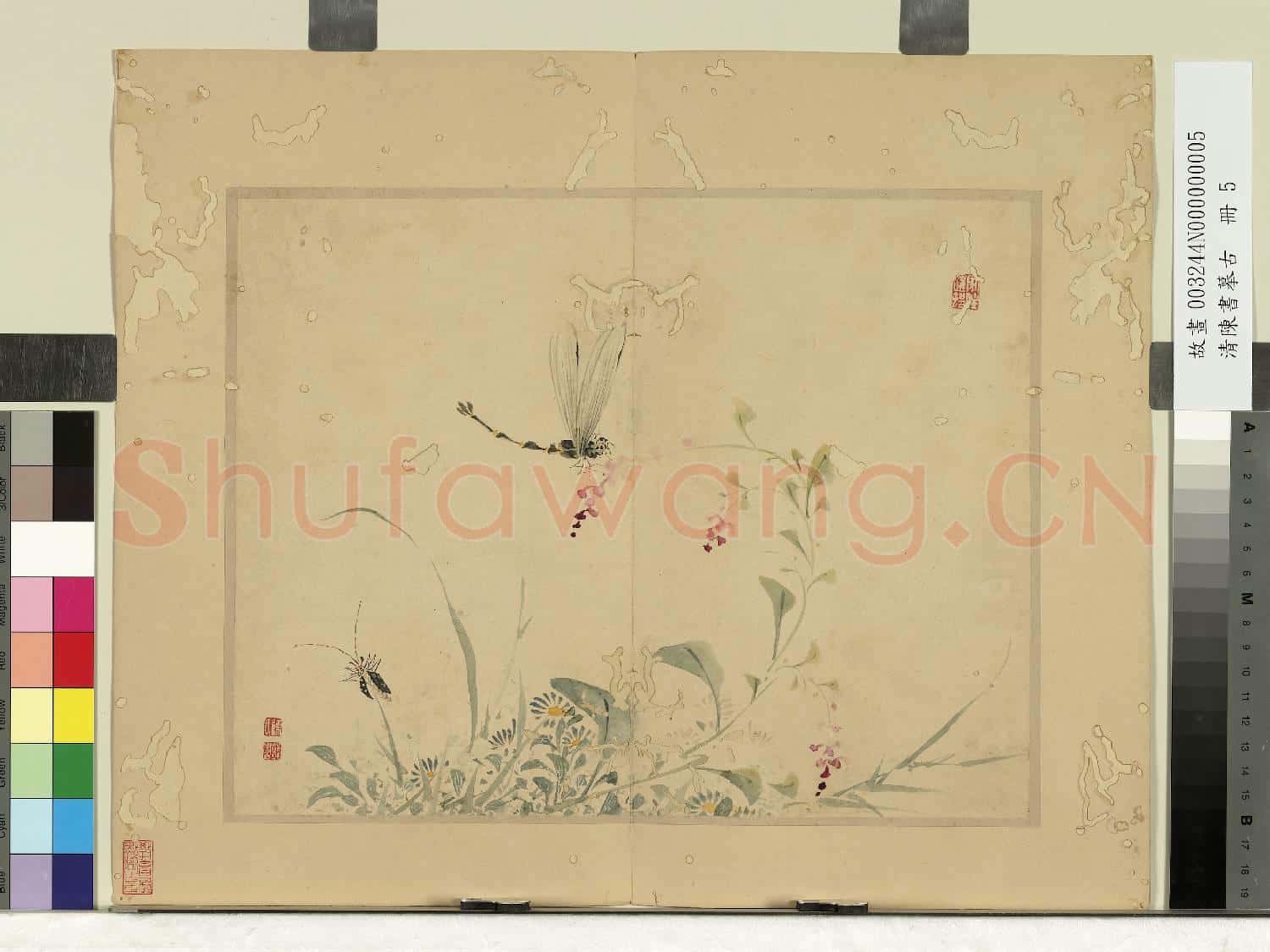 清陳書摹古 冊 菊花蜻蜓