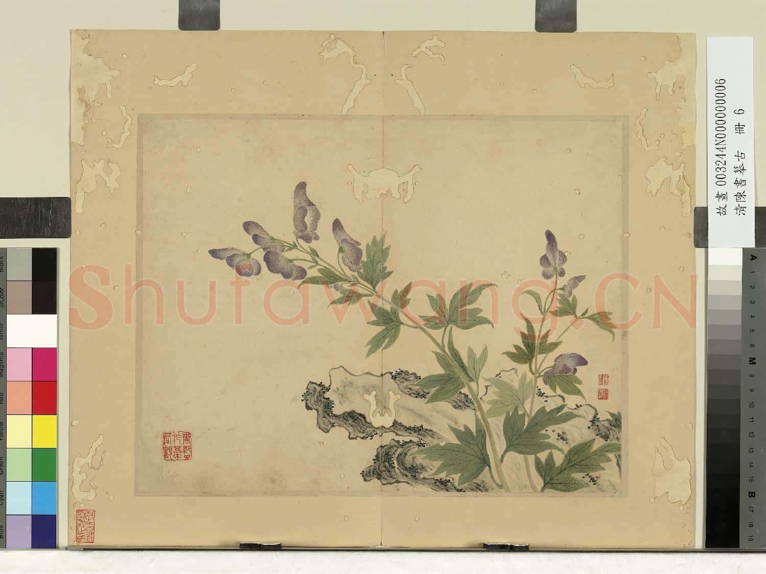 清陳書摹古 冊 奇石花卉