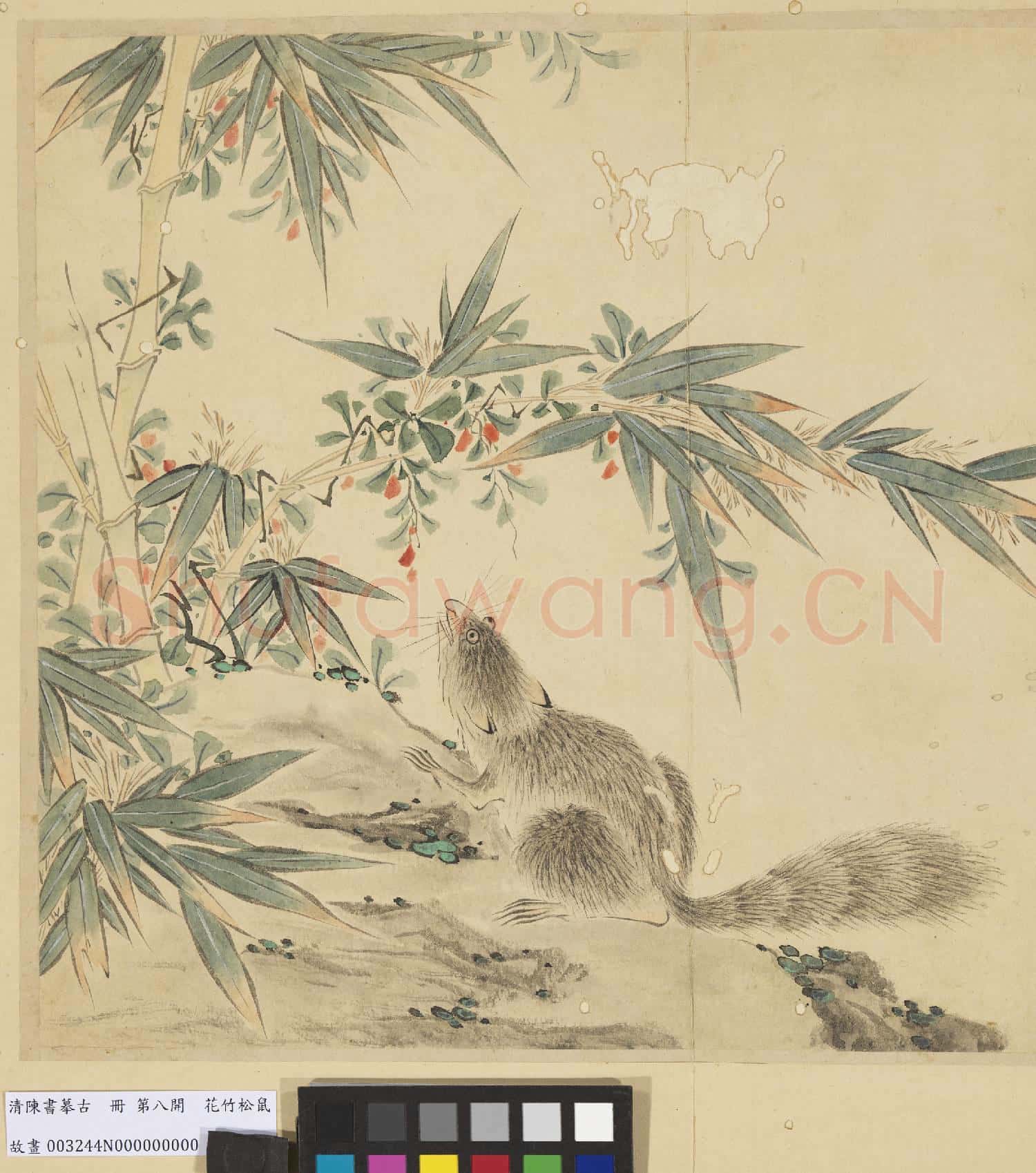 清陳書摹古 冊 花竹松鼠