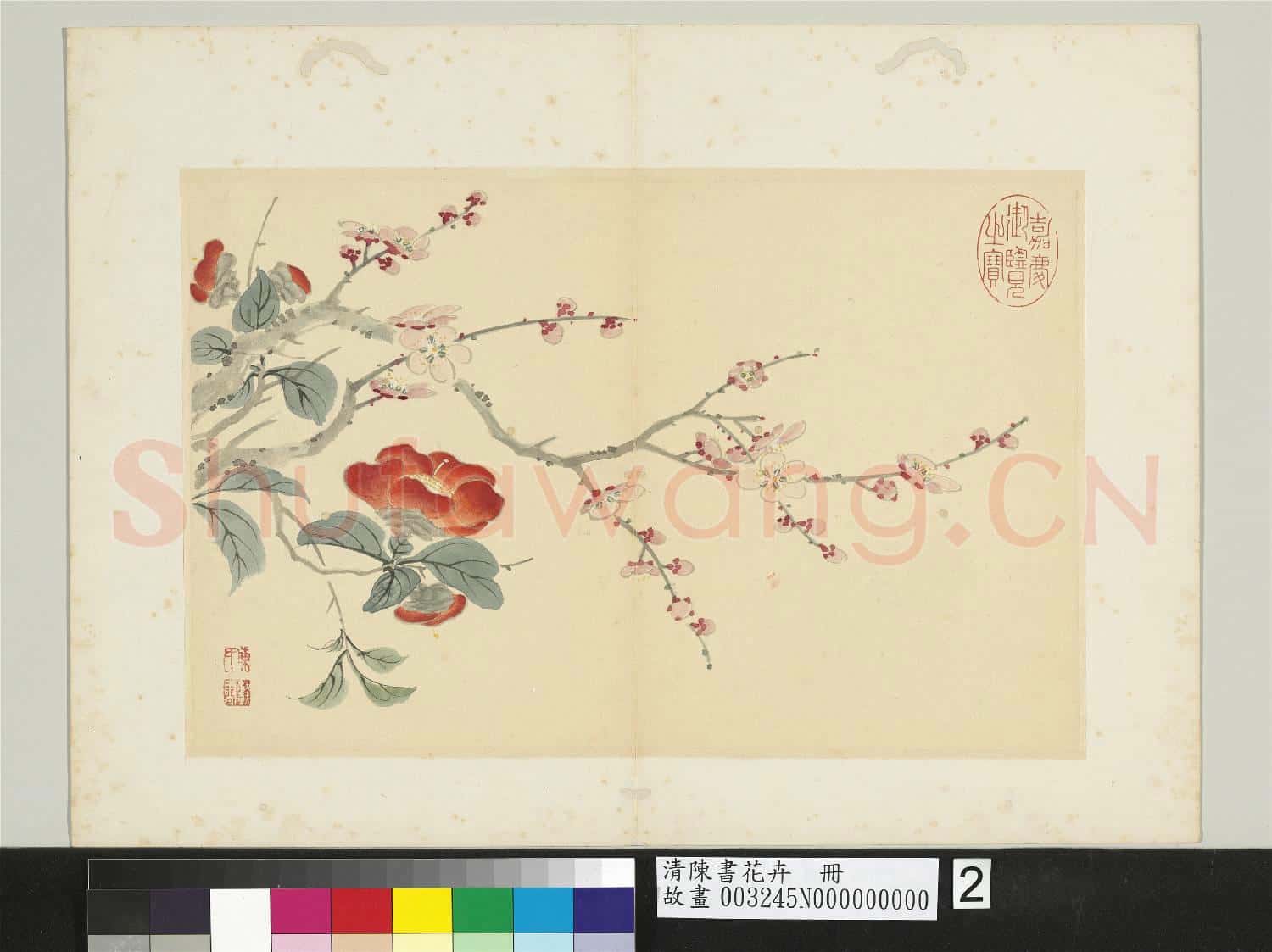 清陳書花卉 冊 紅梅茶花