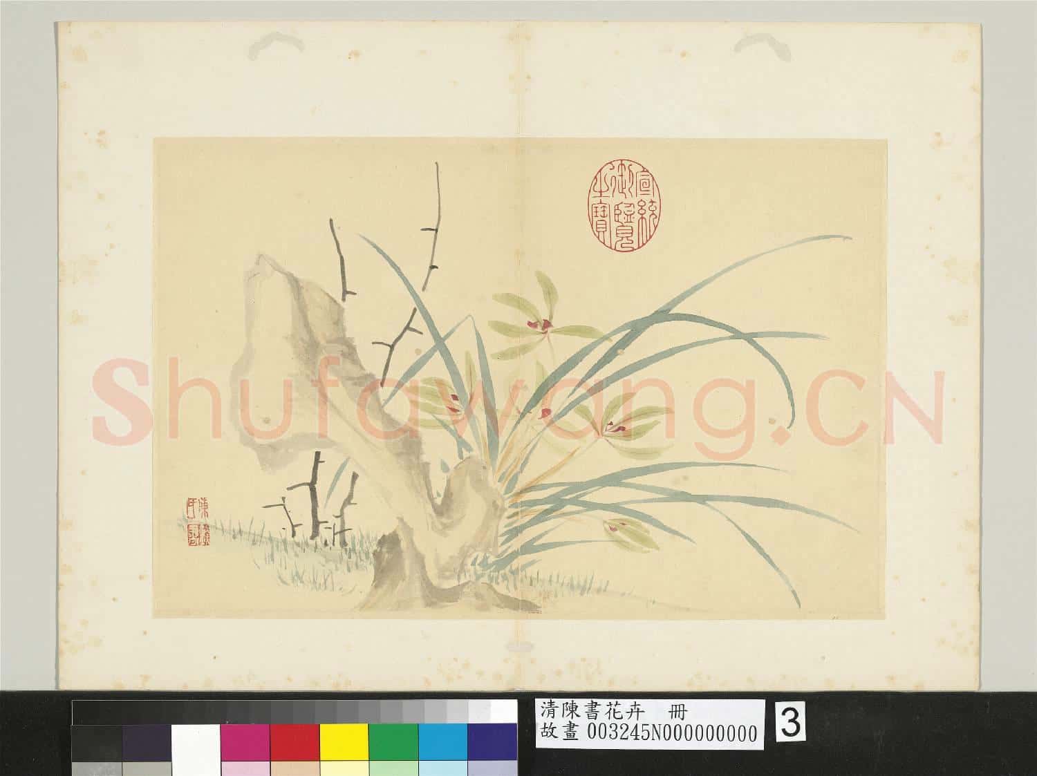 清陳書花卉 冊 奇石幽蘭