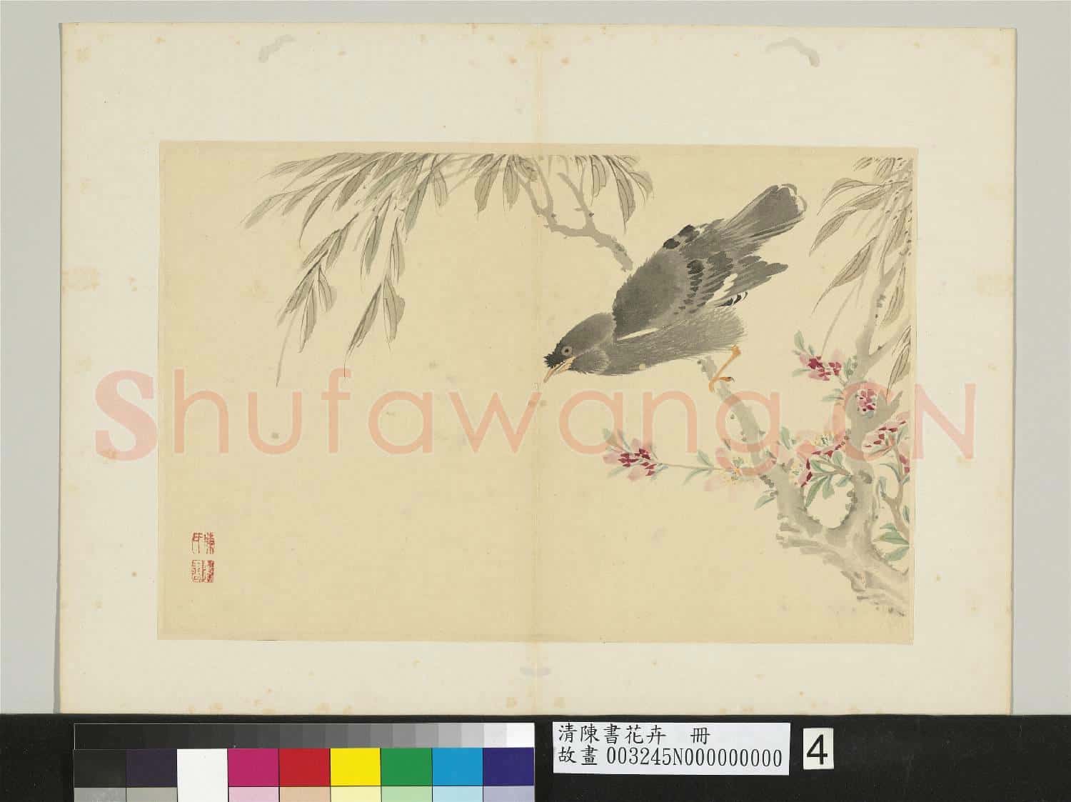 清陳書花卉 冊 桃花八哥