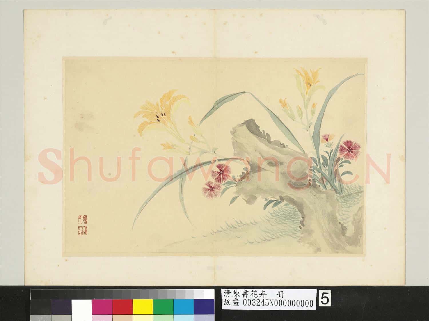 清陳書花卉 冊 石竹萱花