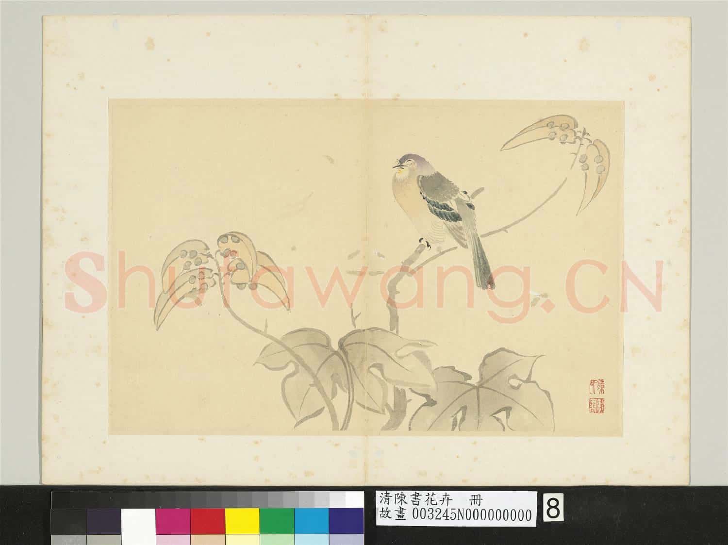 清陳書花卉 冊 梧桐翎毛