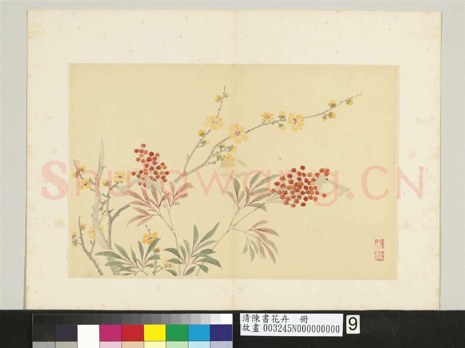 清陳書花卉 冊 臘梅天竺
