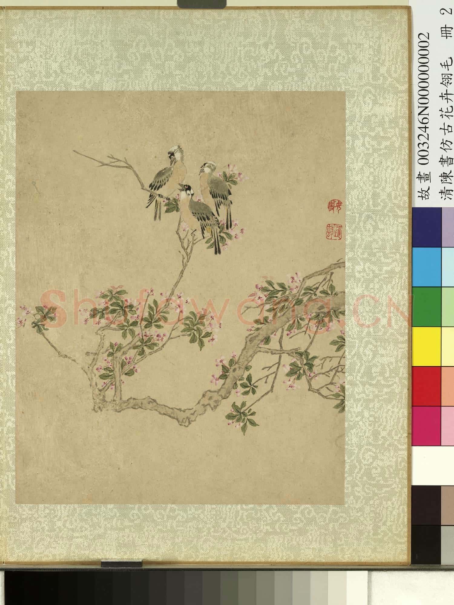 清陳書仿古花卉翎毛 冊 海棠白頭翁
