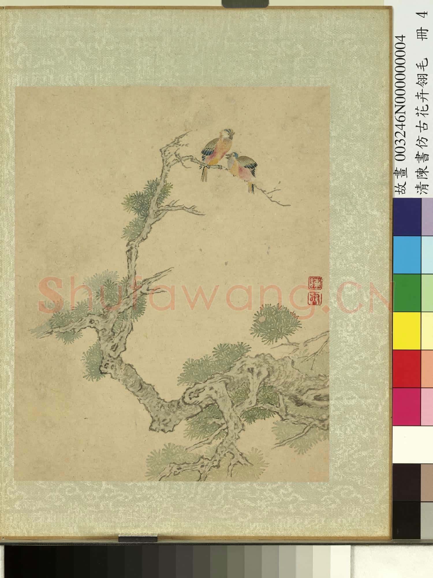 清陳書仿古花卉翎毛 冊 松樹翎毛