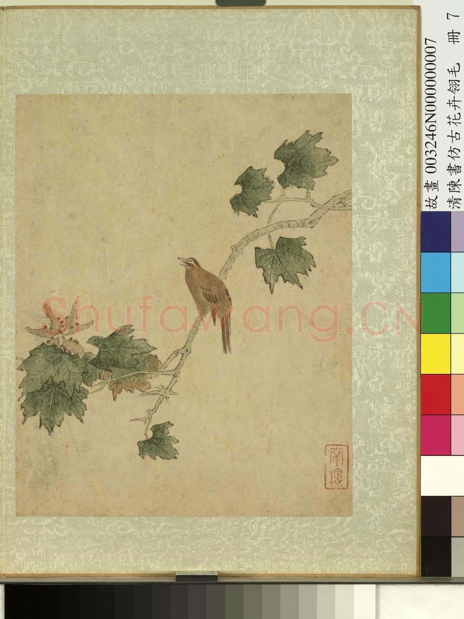 清陳書仿古花卉翎毛 冊 梧桐畫眉