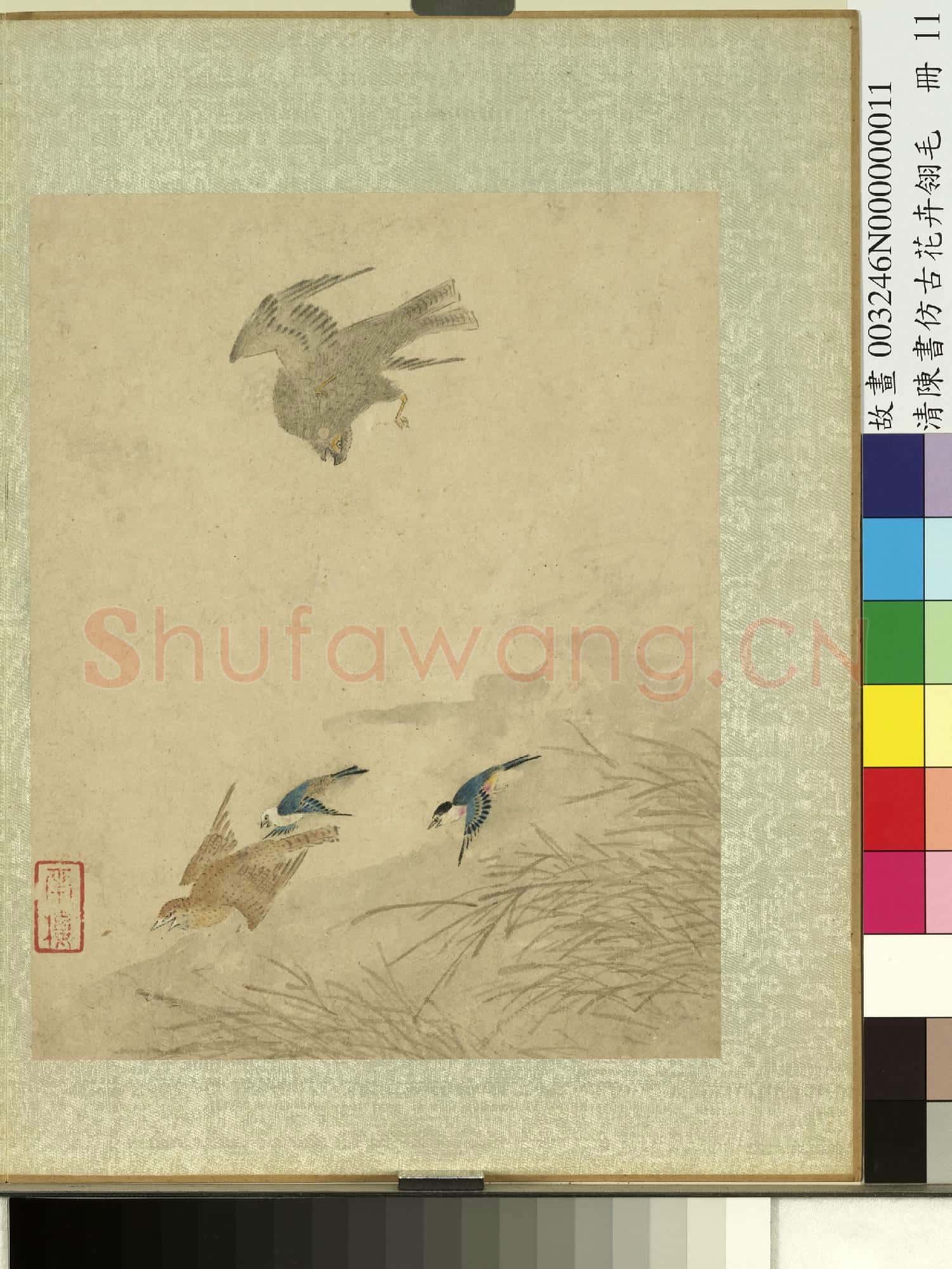 清陳書仿古花卉翎毛 冊 蘆葦翔鷹