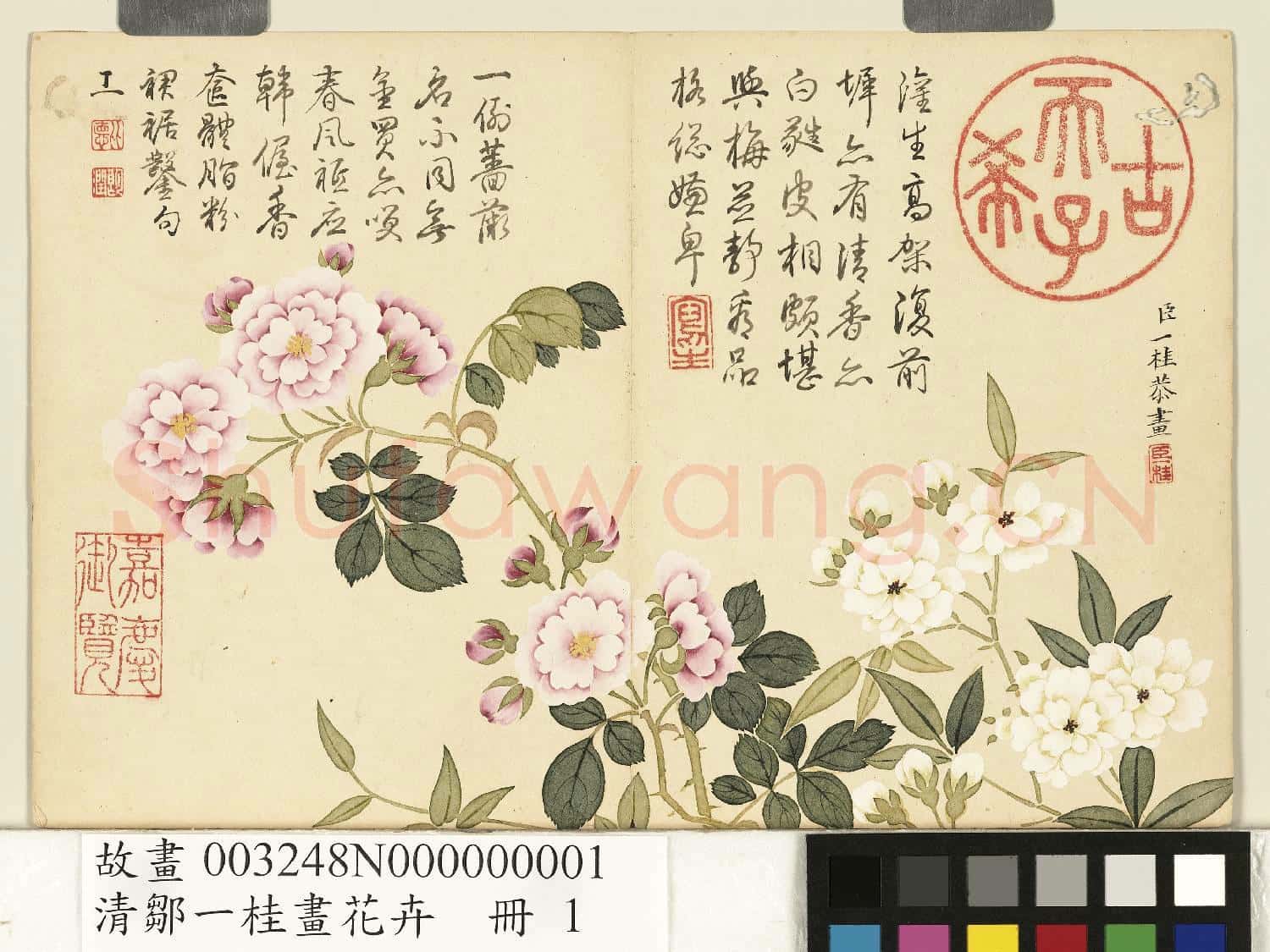 清鄒一桂畫花卉 冊 木香十姊妹