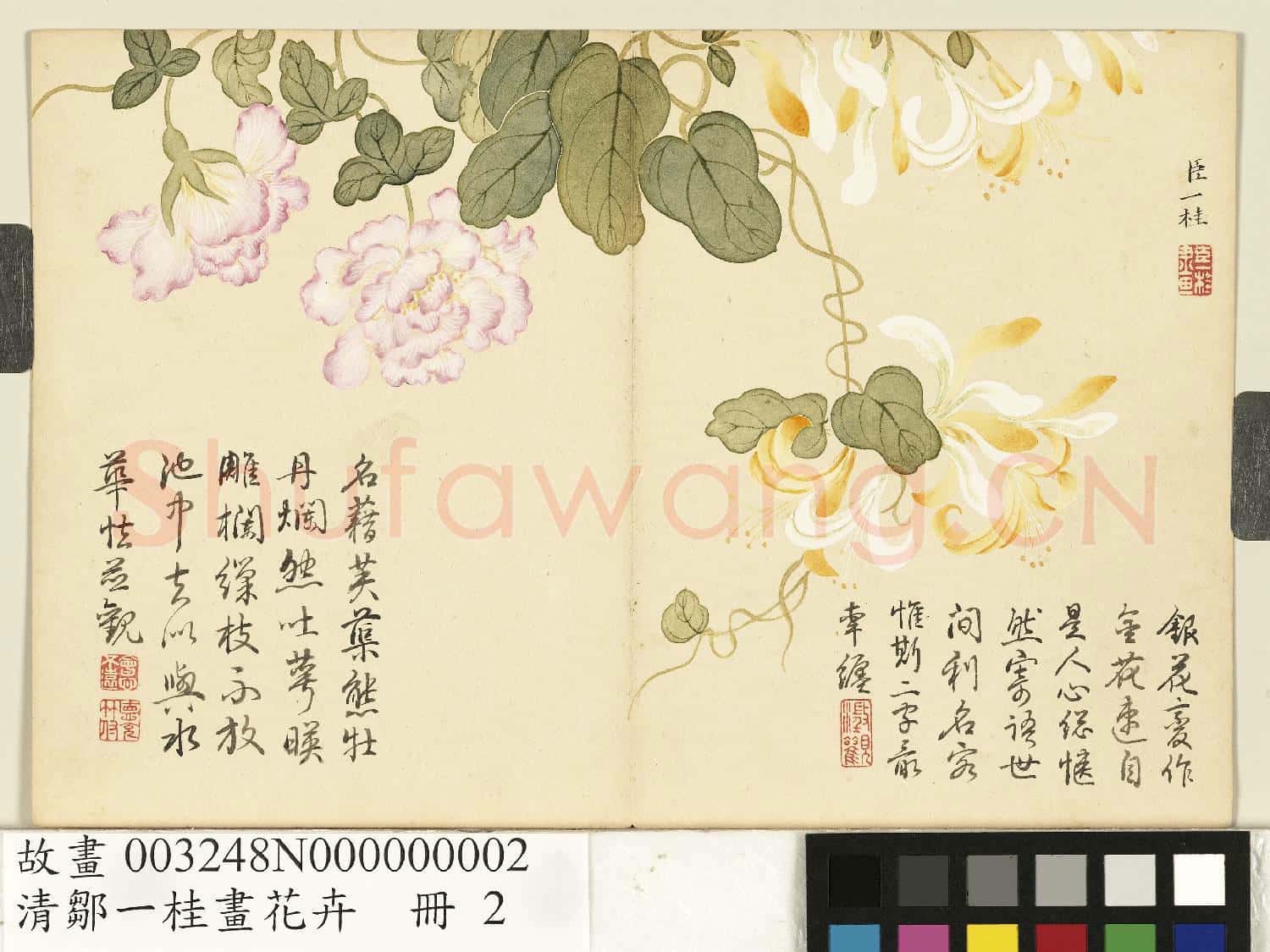清鄒一桂畫花卉 冊 金銀藤纏枝蓮