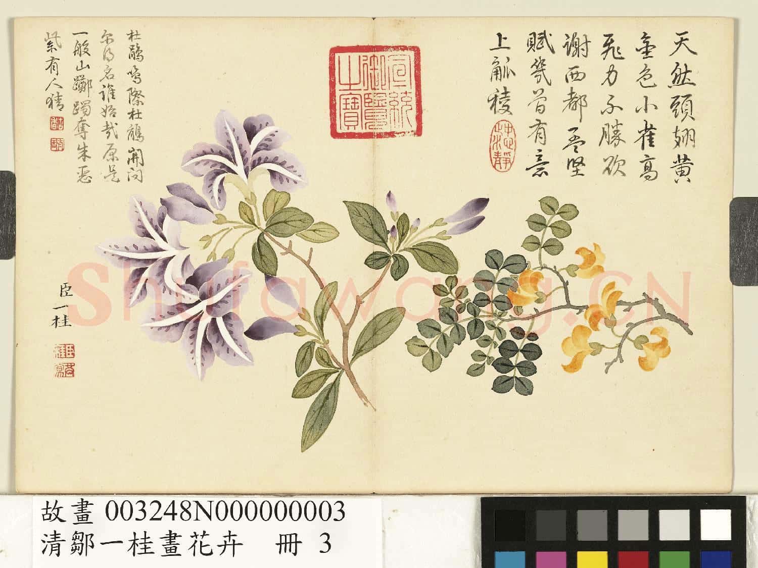清鄒一桂畫花卉 冊 金雀杜鵑