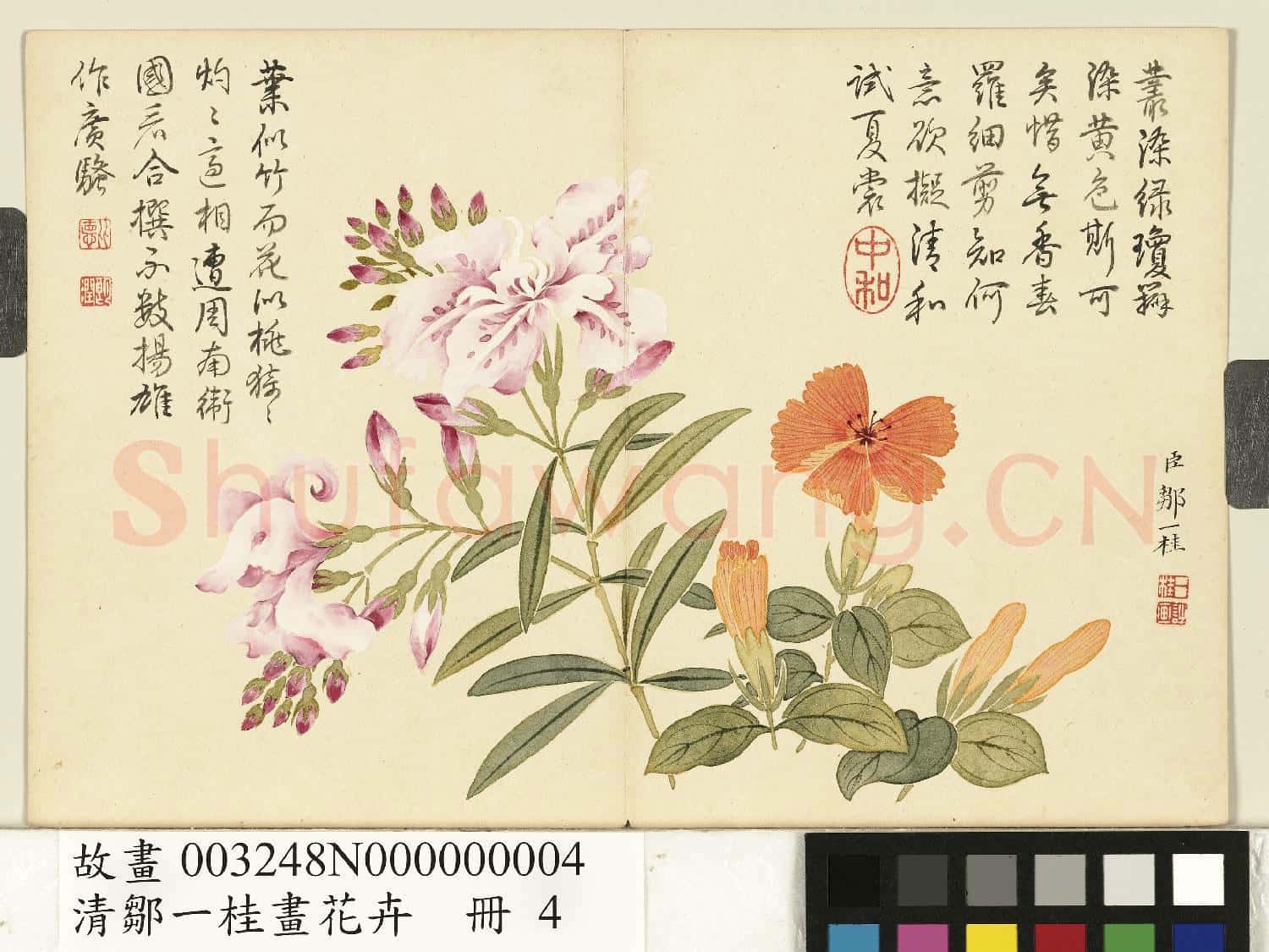 清鄒一桂畫花卉 冊 剪春羅夾竹桃