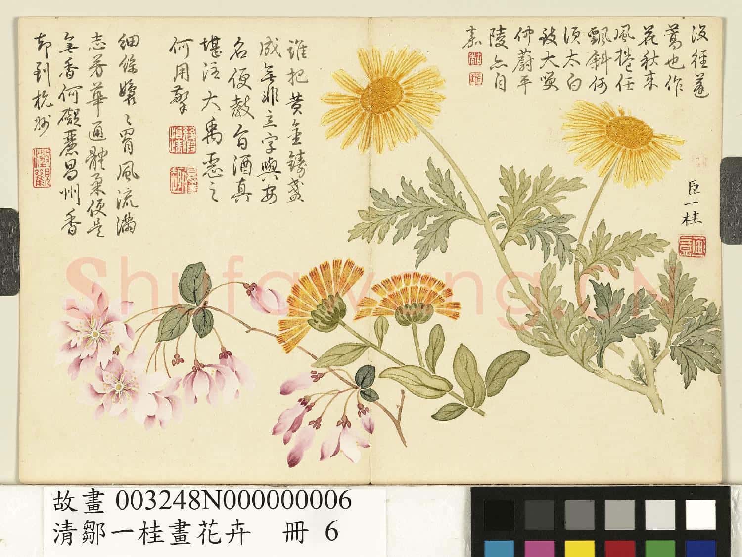 清鄒一桂畫花卉 冊 蓬蒿金盞