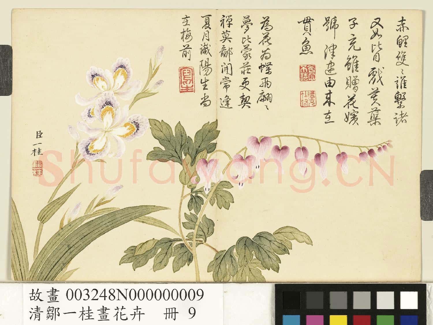 清鄒一桂畫花卉 冊 蝴蝶花魚兒牡丹