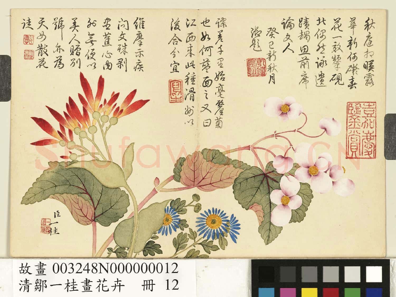 清鄒一桂畫花卉 冊 美人蕉秋海棠