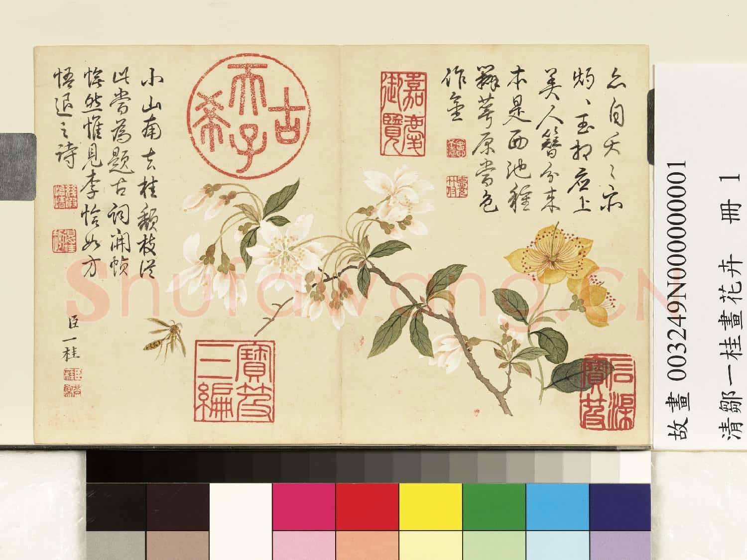 清鄒一桂畫花卉 冊 李花金絲桃