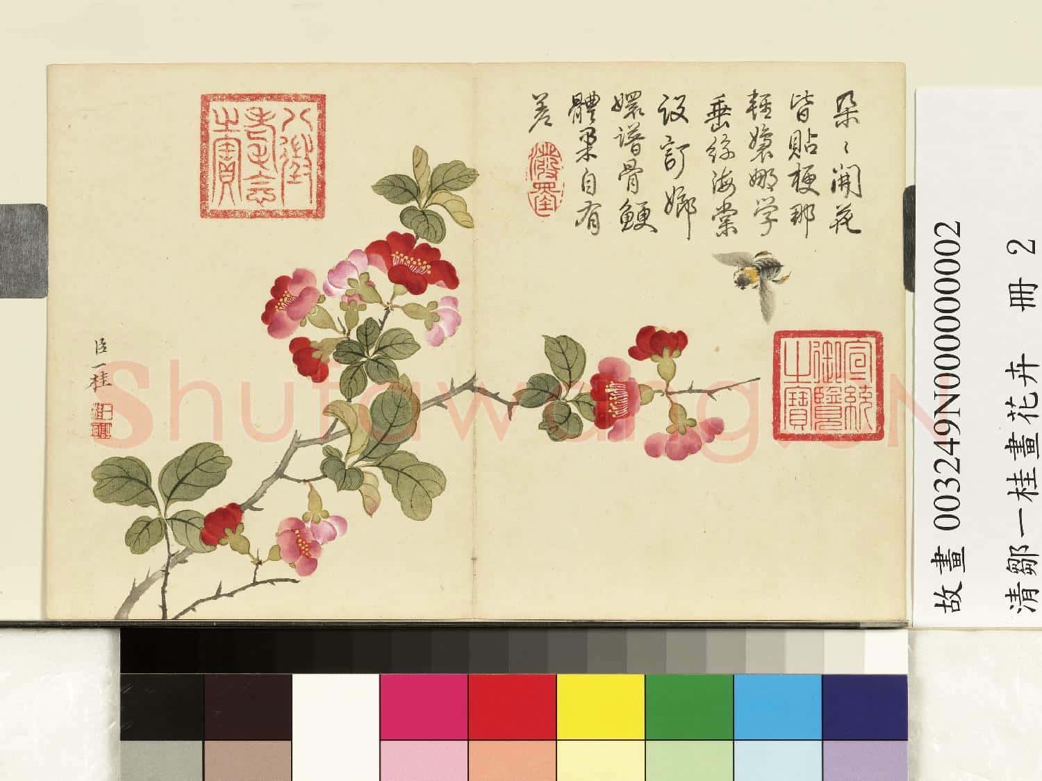 清鄒一桂畫花卉 冊 海棠