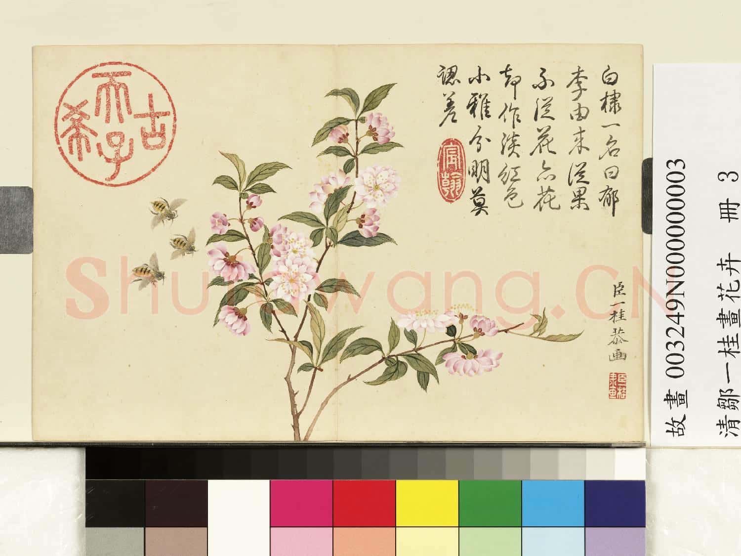 清鄒一桂畫花卉 冊 郁李