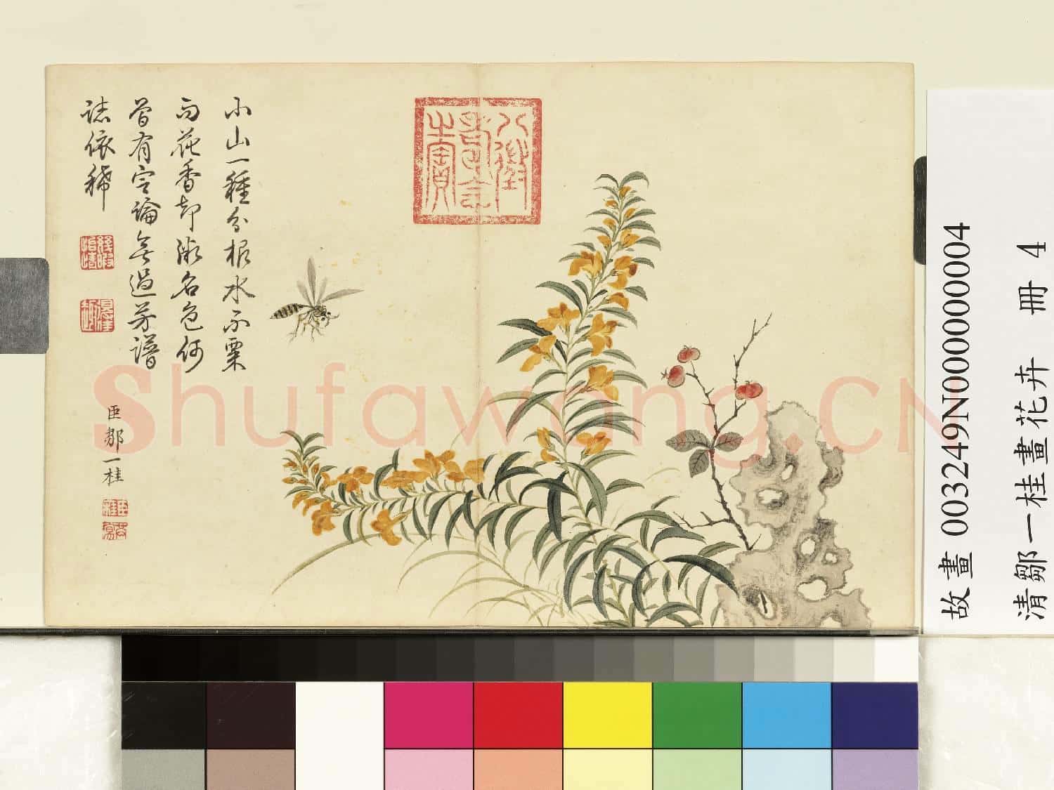 清鄒一桂畫花卉 冊 水木樨