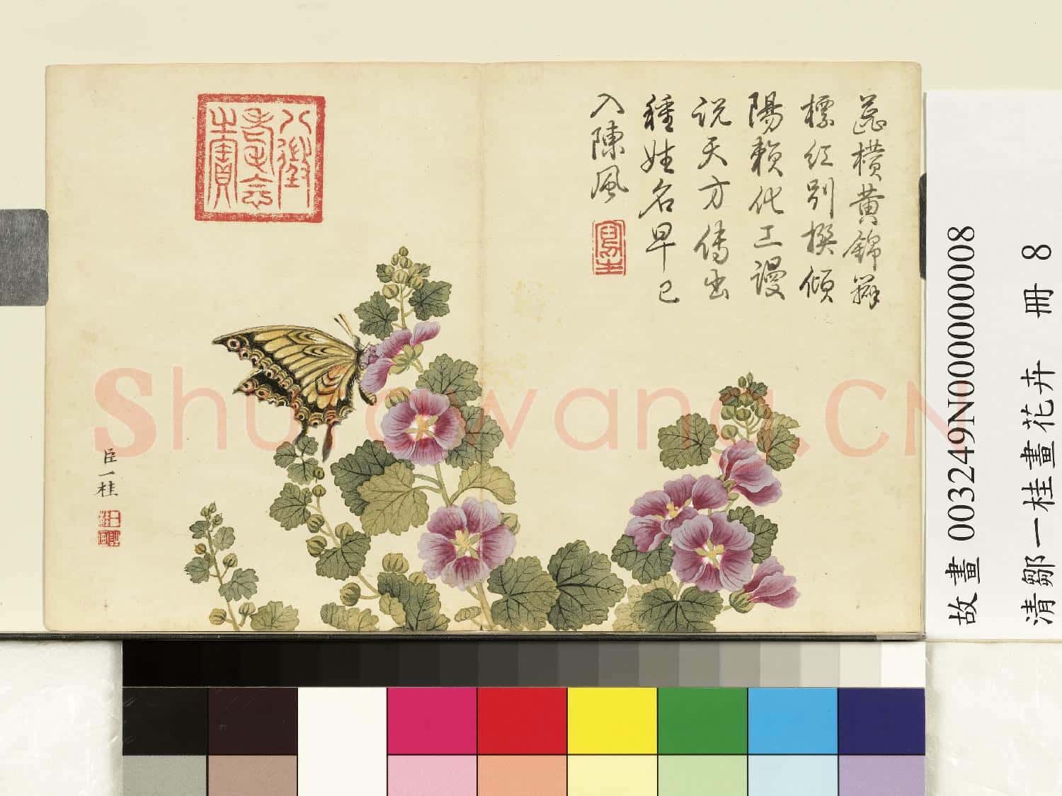 清鄒一桂畫花卉 冊 錦葵