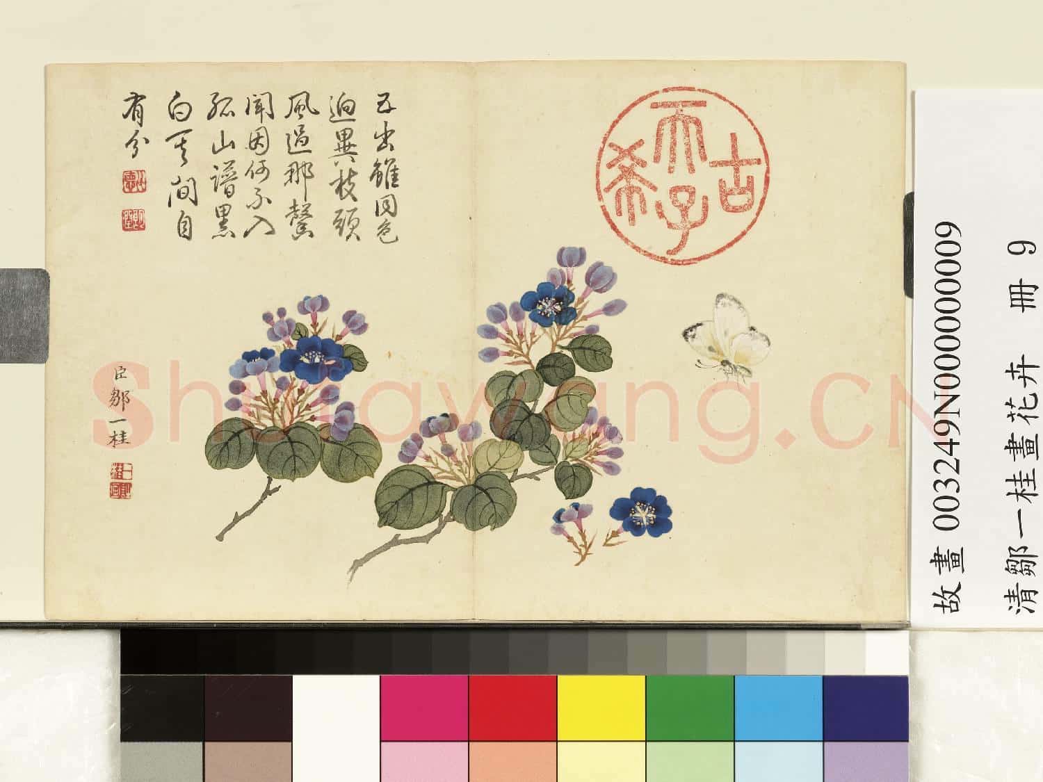 清鄒一桂畫花卉 冊 翠梅