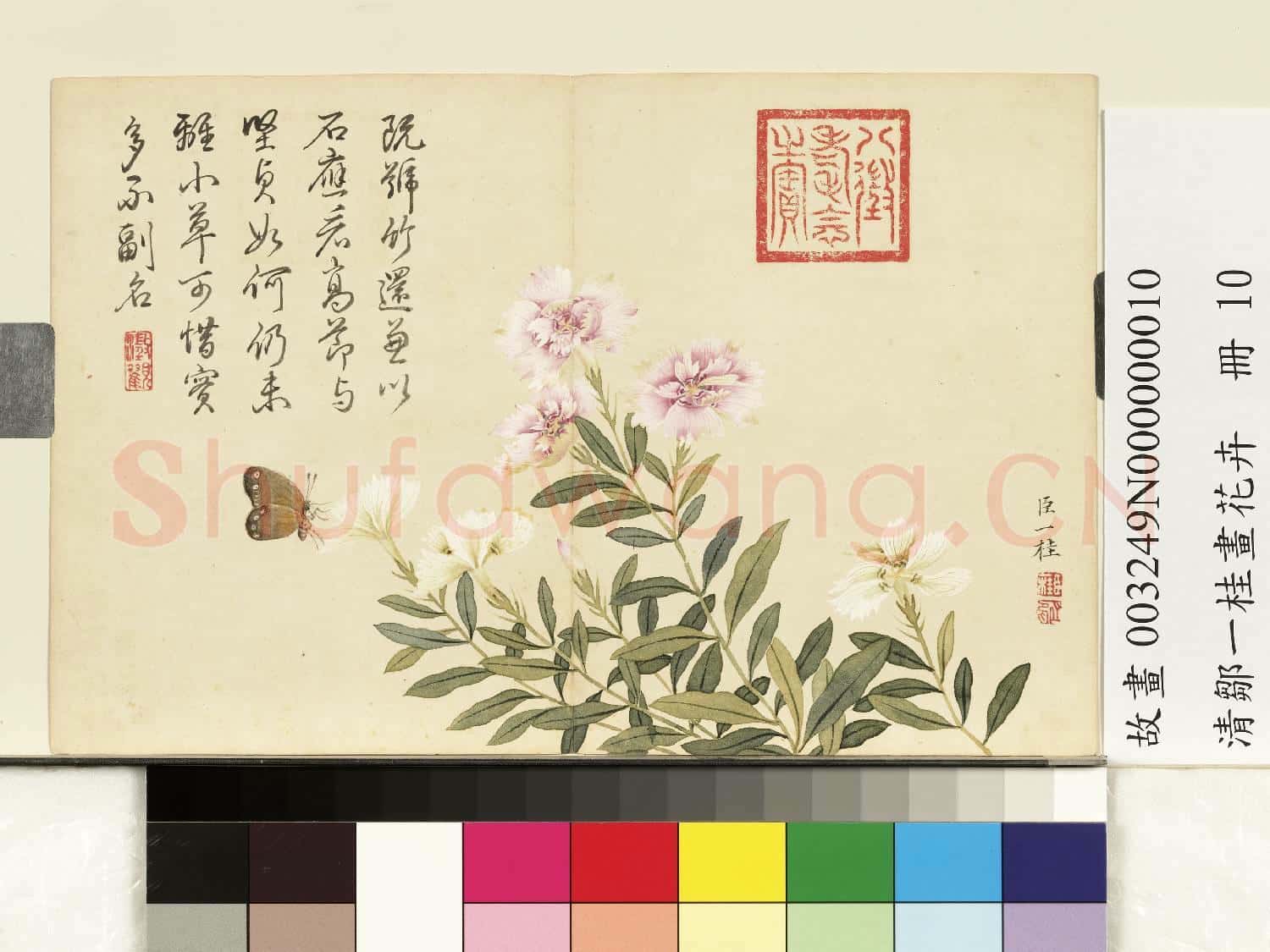 清鄒一桂畫花卉 冊 剪秋羅