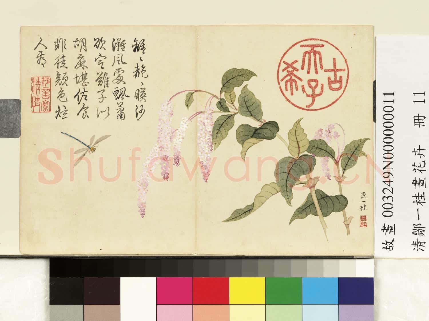 清鄒一桂畫花卉 冊 紅蓼