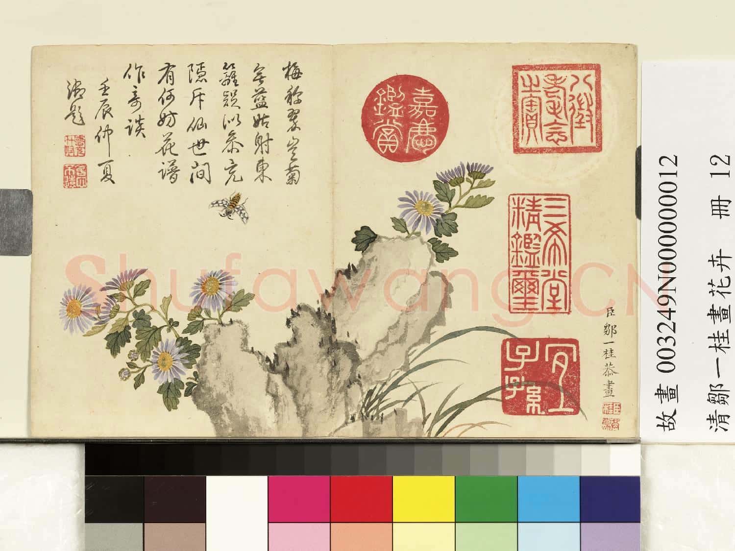 清鄒一桂畫花卉 冊 藍菊