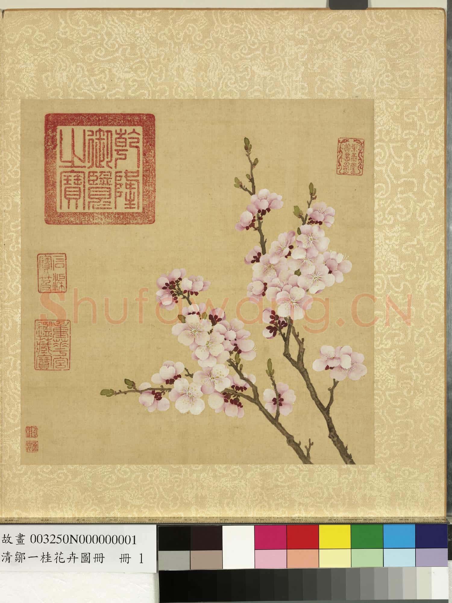 清鄒一桂花卉畫冊 冊 杏花