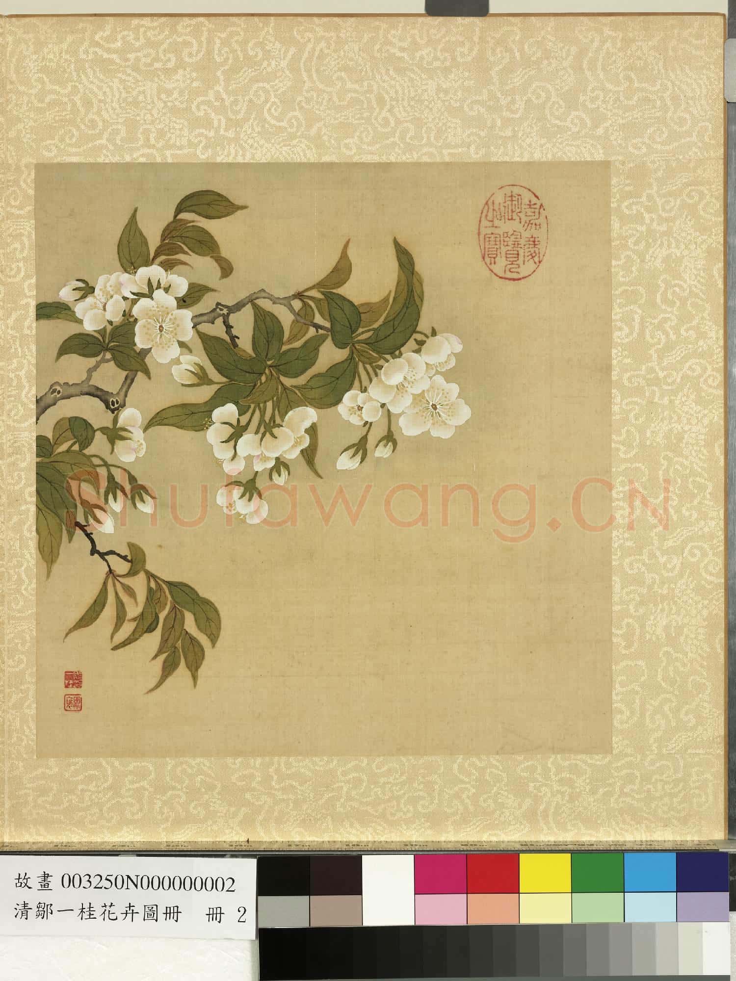 清鄒一桂花卉畫冊 冊 李花