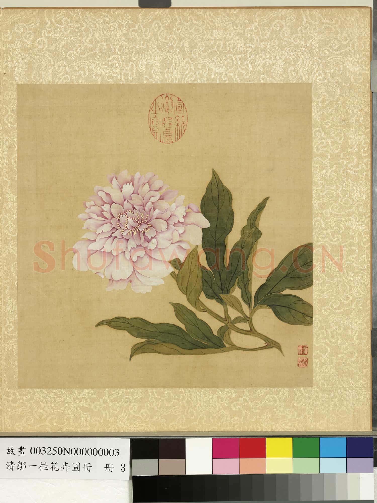 清鄒一桂花卉畫冊 冊 芍藥