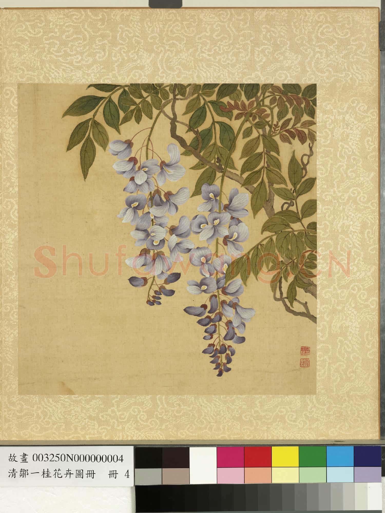 清鄒一桂花卉畫冊 冊 紫藤花