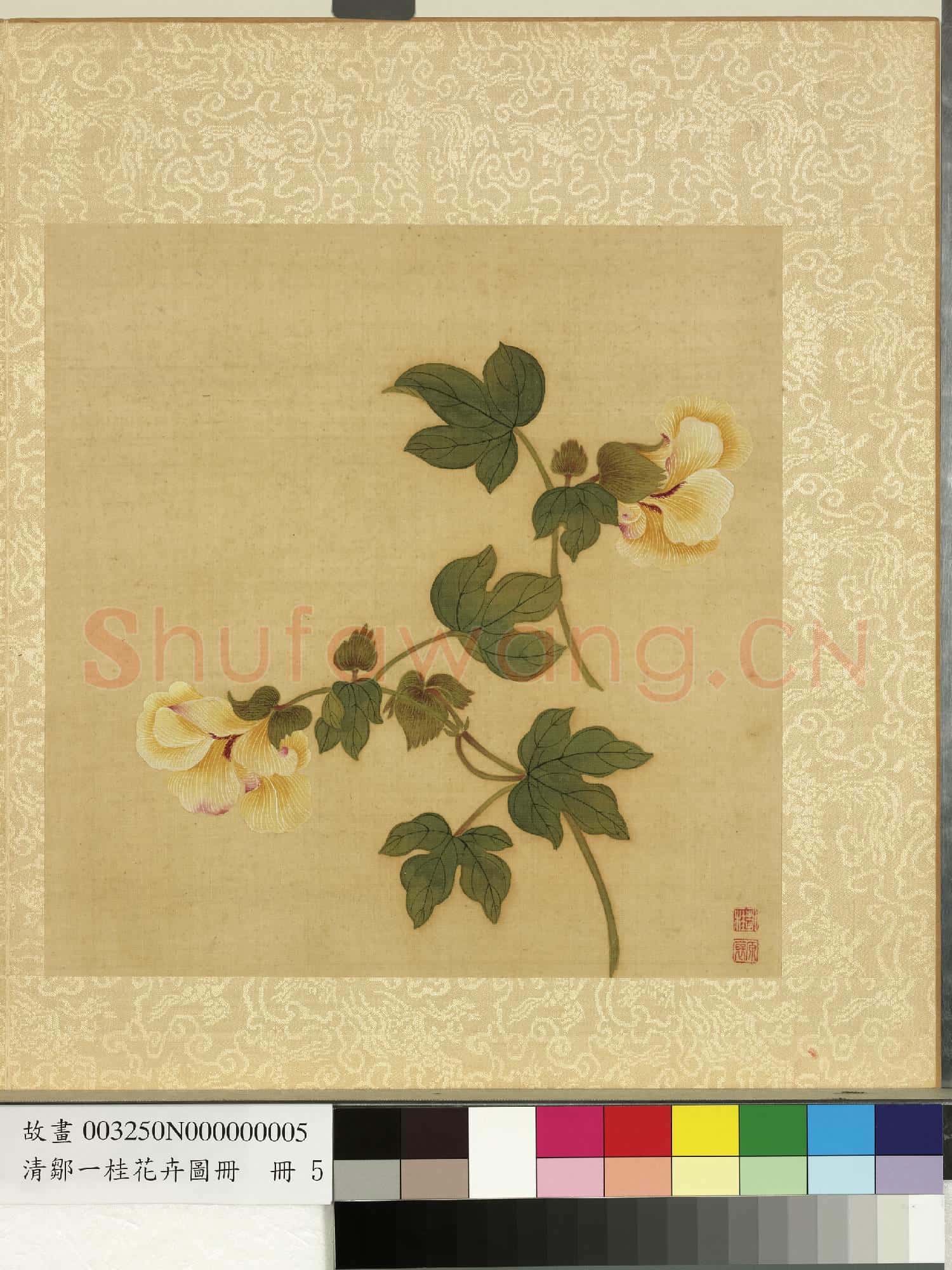 清鄒一桂花卉畫冊 冊 葵花