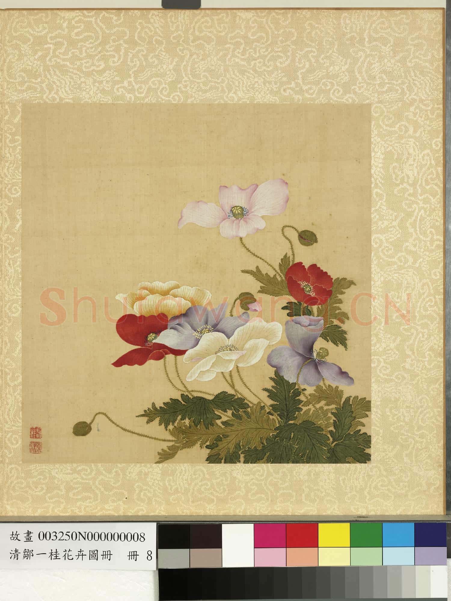 清鄒一桂花卉畫冊 冊 虞美人