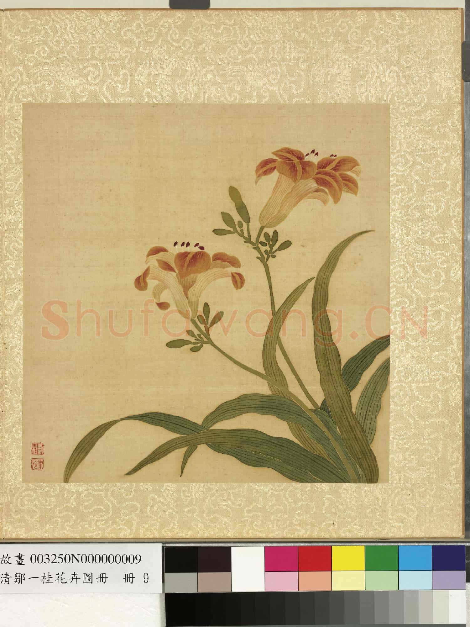 清鄒一桂花卉畫冊 冊 宜男花