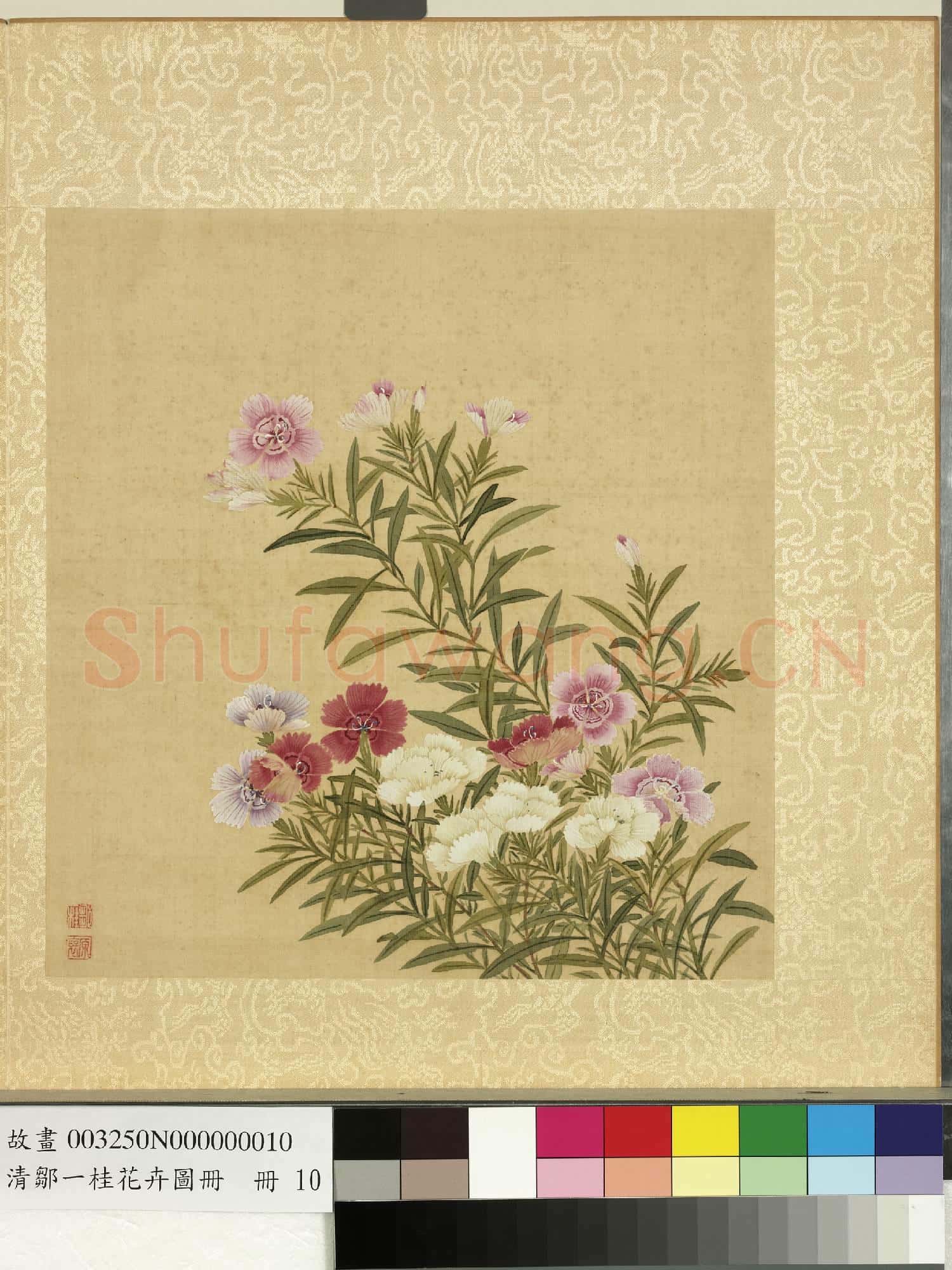 清鄒一桂花卉畫冊 冊 石竹