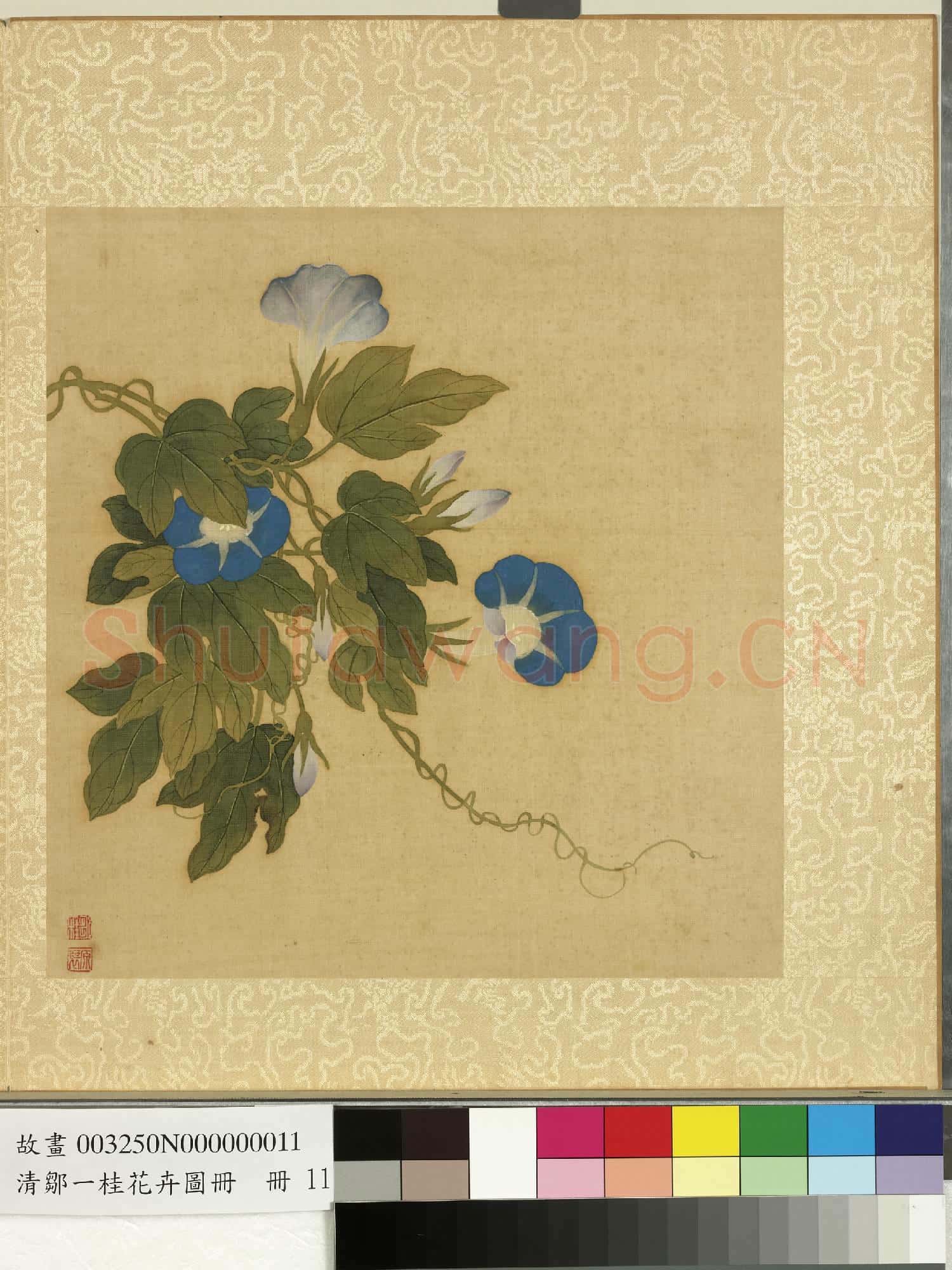 清鄒一桂花卉畫冊 冊 牽牛花