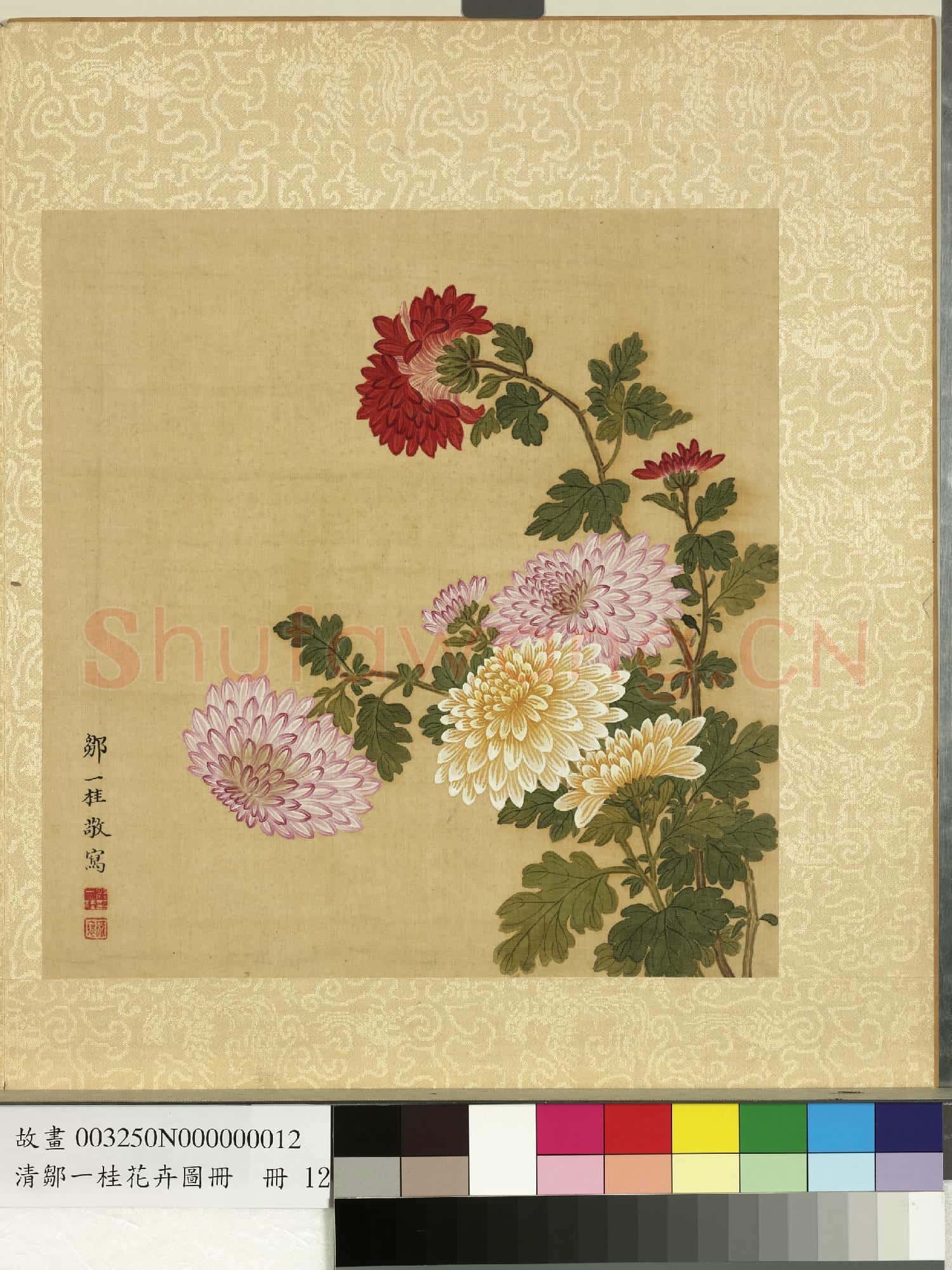 清鄒一桂花卉畫冊 冊 菊花