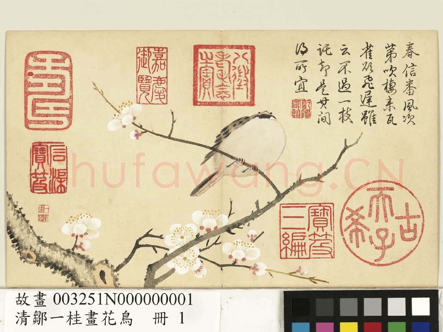 清鄒一桂畫花鳥 冊 梅花麻雀