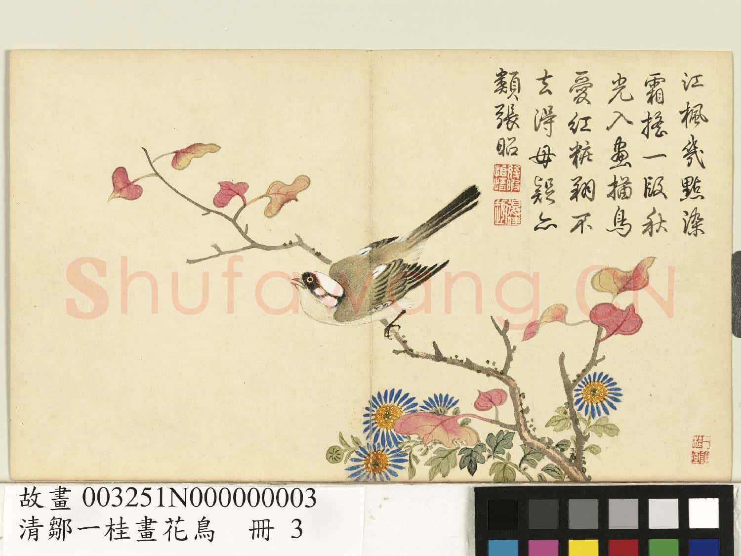 清鄒一桂畫花鳥 冊 楓樹白頭翁