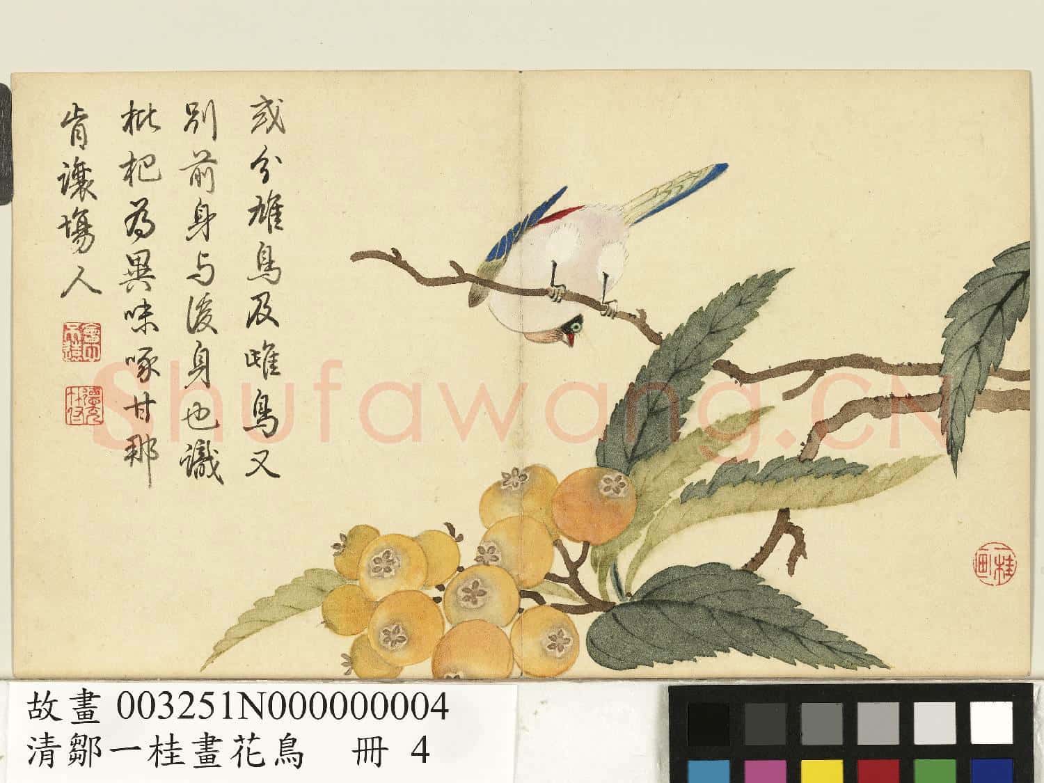 清鄒一桂畫花鳥 冊 枇杷翡翠